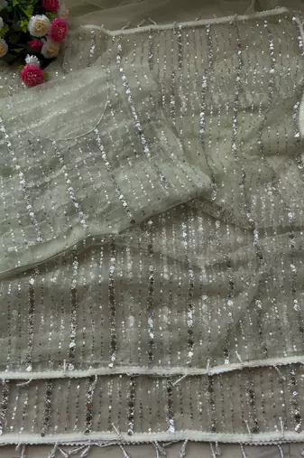 Light Green Color Beads Work Net Saree