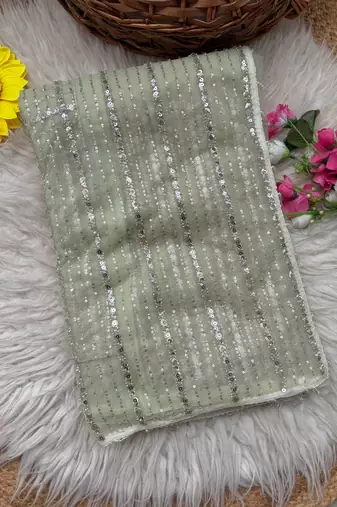 Light Green Color Beads Work Net Saree