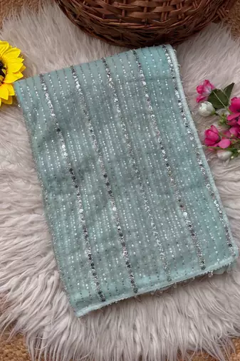 Sky Blue Color Beads Work Net Saree