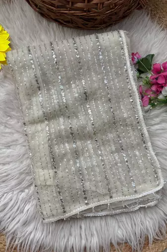 White Color Beads Work Net Saree