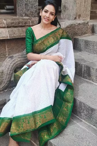 Checked zari banarasi saree