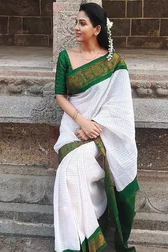 Checked zari banarasi saree