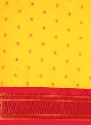 Ethnic motifs zari paithani saree 4