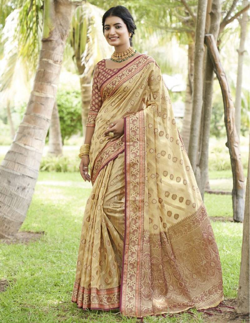 Woven design organza kanjeevaram saree