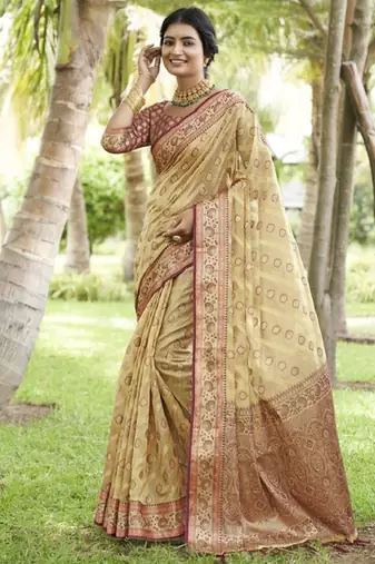 cream organza kanjeevaram saree with woven design