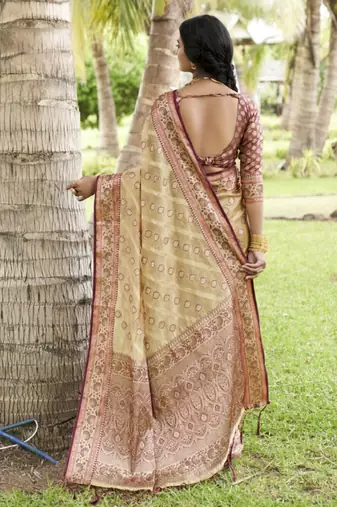 cream organza kanjeevaram saree with woven design