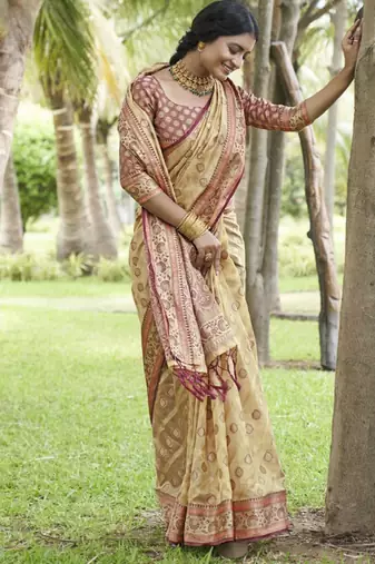 cream organza kanjeevaram saree with woven design