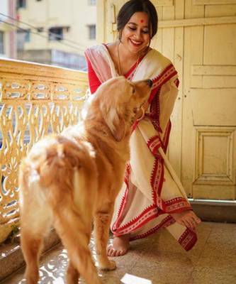 Woven design zari kanjeevaram saree 4