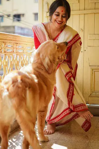 Woven design zari kanjeevaram saree