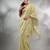 Zari silk cotton saree