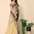 Ethnic motifs woven design zari banarasi saree