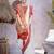 Zari silk cotton kanjeevaram saree