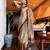 Woven design zari mysore silk saree