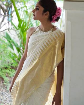 Striped zari  banarasi saree 4