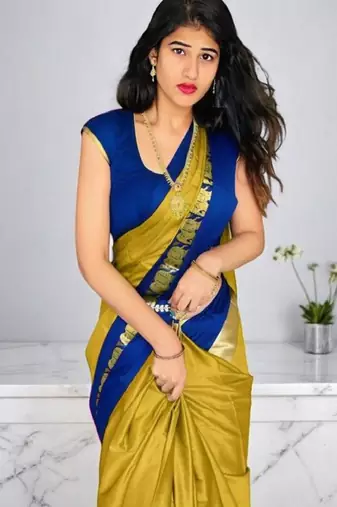 Woven design zari kanjeevaram saree
