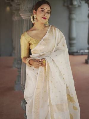 Woven design zari kanjeevaram saree 2