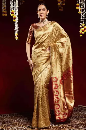 Ethnic motifs zari  kanjeevaram saree