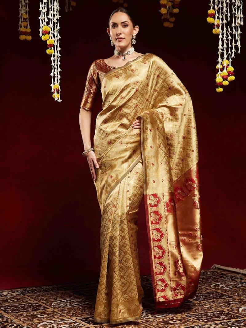 Ethnic motifs zari  kanjeevaram saree