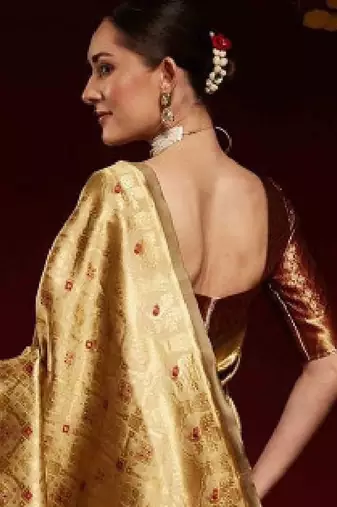Ethnic motifs zari  kanjeevaram saree