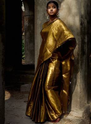 Tissue saree 2