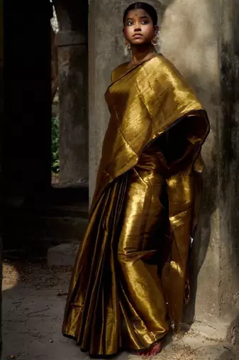 Tissue saree
