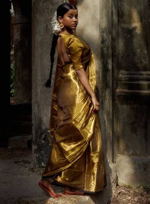 Tissue saree 3