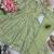  pista green festive anarkali suit set