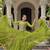 Parrot Green Navaratri Special Leheriya Print with Gota-Patti Lace Work Lehenga Choli- free size