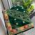 Green soft georgette digital print saree with embroidered border & banglory silkblend blouse