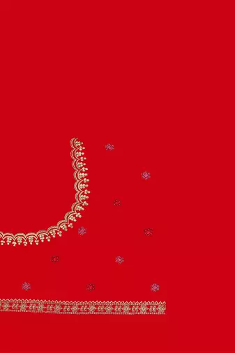 Red heavy resham siroski stone work georgette designer saree