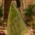 Women linen mehndi green ethnic block prints bollywood saree