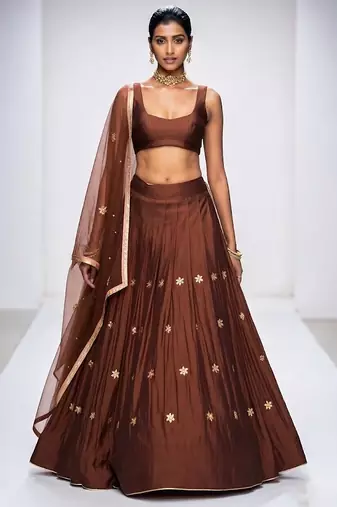 Brown Embroidered Dupion Silk Lehenga Set