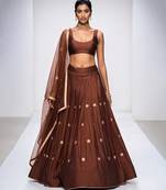 Brown Embroidered Dupion Silk Lehenga Set