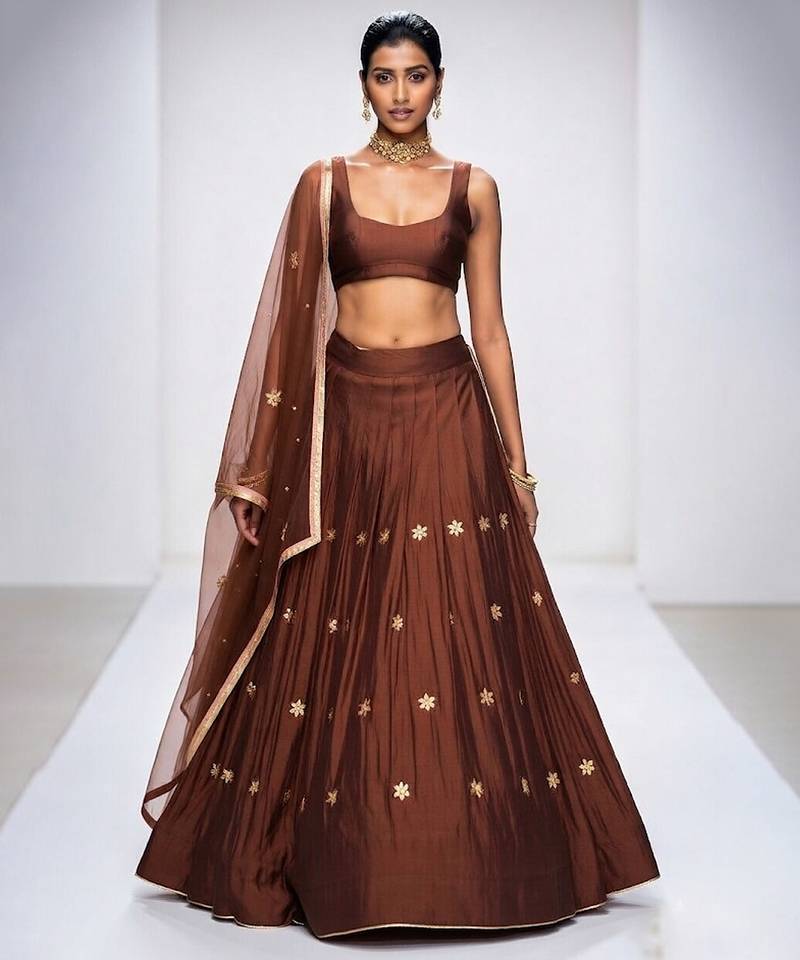 Brown Embroidered Dupion Silk Lehenga Set