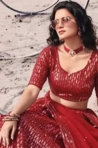 red net embroidered traditional lehenga-choli