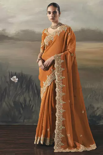 Orange tissue heavy designer border with designer blouse wedding wear saree