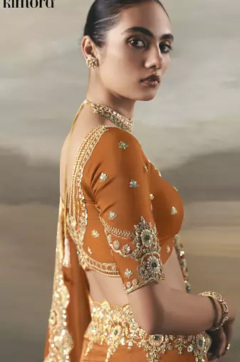Orange tissue heavy designer border with designer blouse wedding wear saree