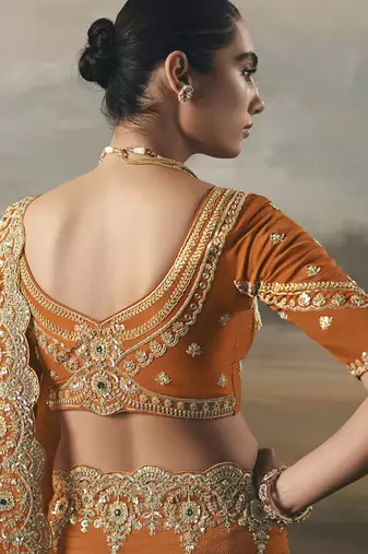 Orange tissue heavy designer border with designer blouse wedding wear saree