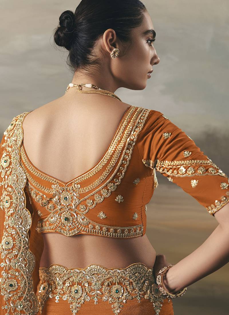 Orange tissue heavy designer border with designer blouse wedding wear saree