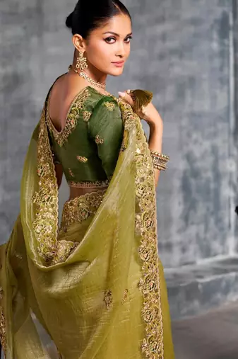 Light weight pista multi work tissue silk saree with unstitched blouse