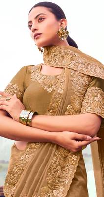 Embellished chiku resham & zari embroidery  banarasi silk saree with unstitched blouse 2