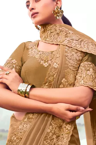 Embellished chiku resham & zari embroidery  banarasi silk saree with unstitched blouse