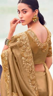 Embellished chiku resham & zari embroidery  banarasi silk saree with unstitched blouse 3