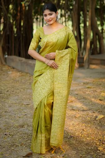 Women light green Art silk handloom saree