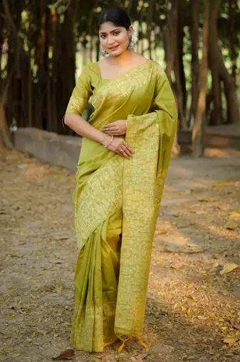 Women light green Art silk handloom saree