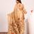 Women chiku cotton handloom saree