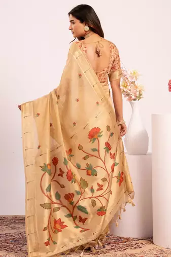 Women chiku cotton handloom saree
