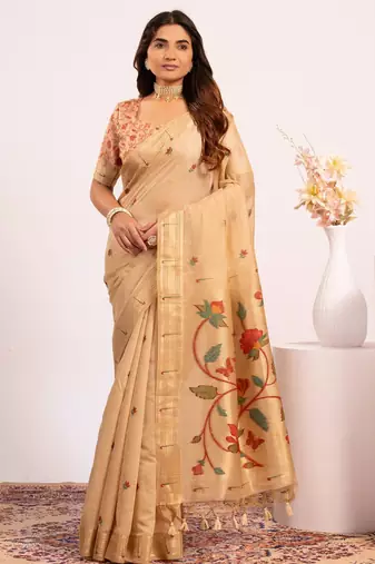 Women chiku cotton handloom saree