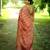 Women pink art silk handloom saree