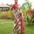 Women multicolor art silk handloom saree